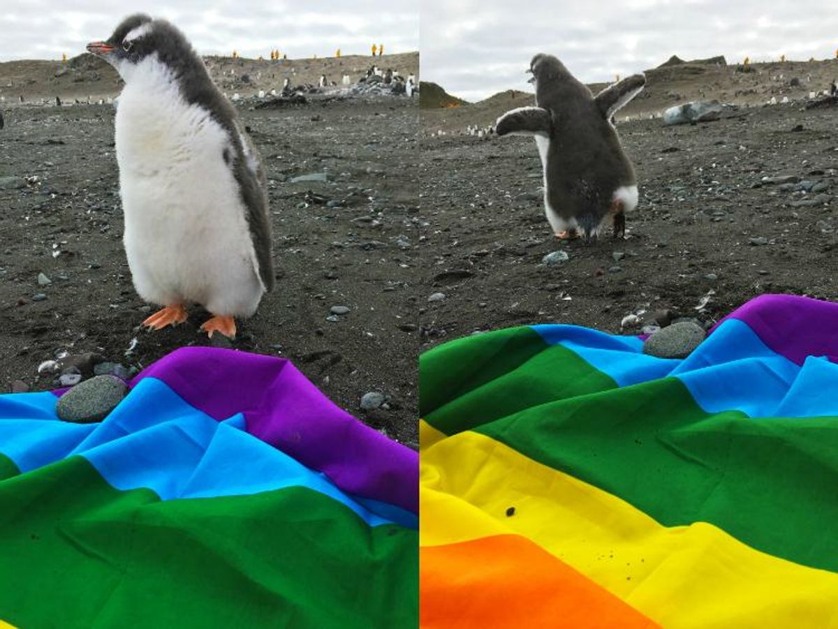 Antartica is the 'World’s First LGBT-Friendly Continent’