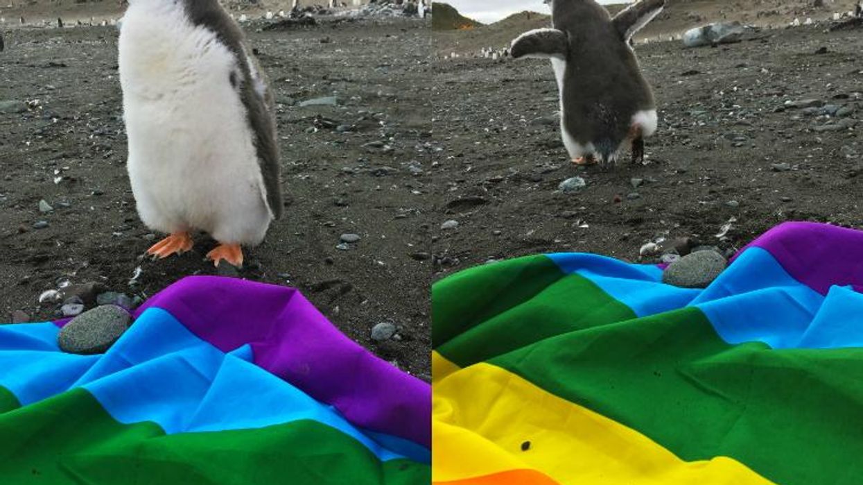 Antartica is the 'World’s First LGBT-Friendly Continent’