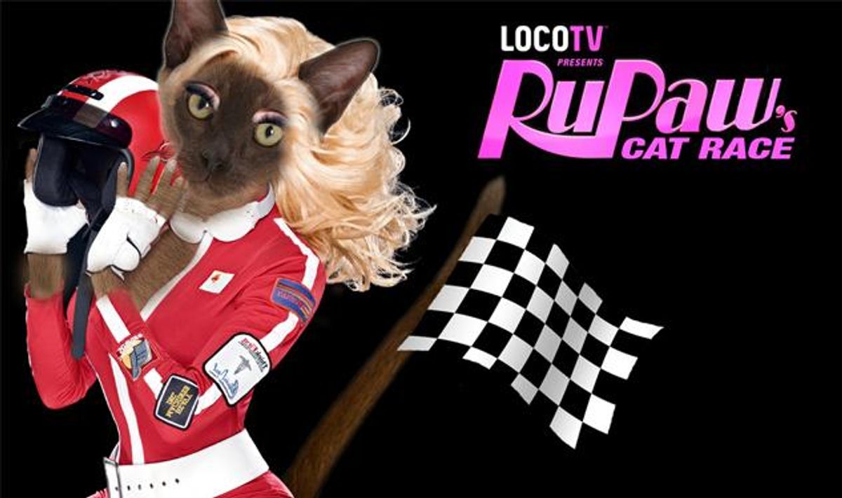 Two-Minute Cinema: RuPaw's Cat Race