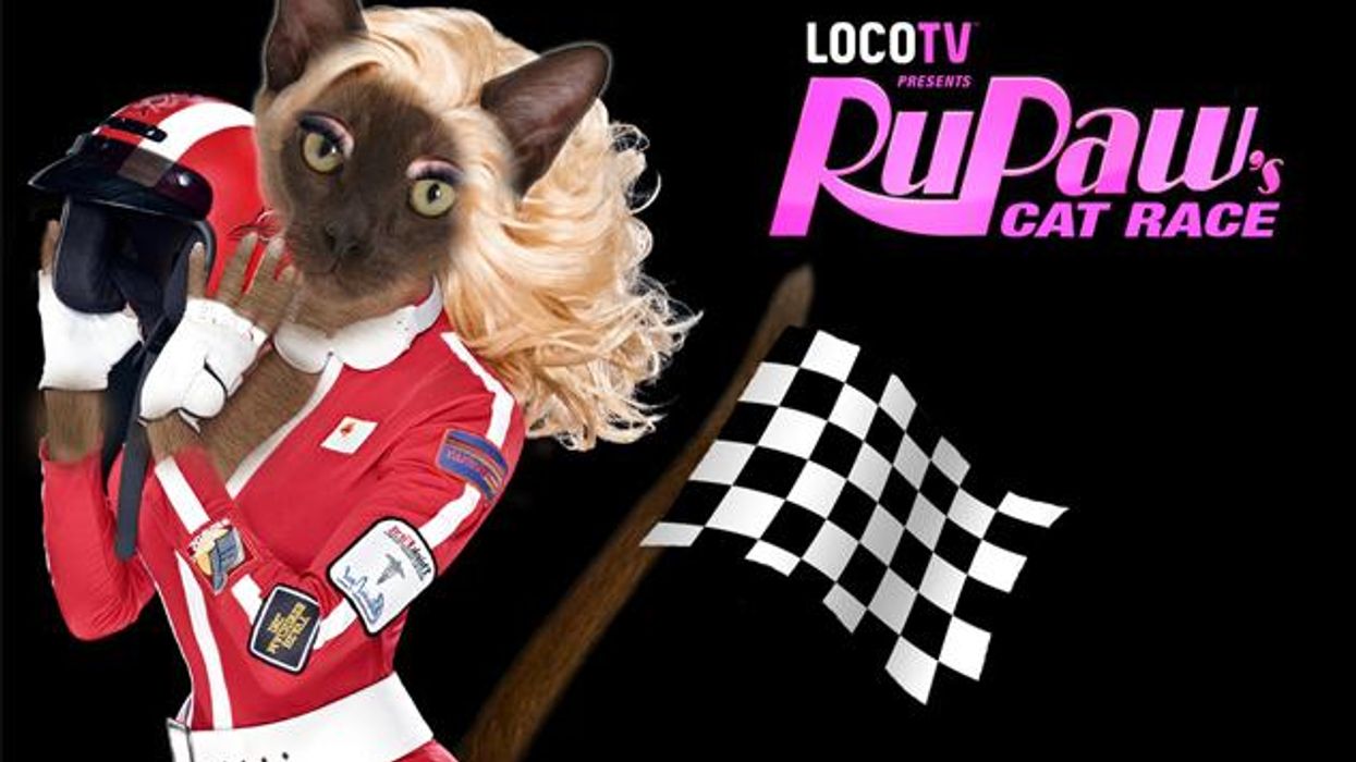 Two-Minute Cinema: RuPaw's Cat Race