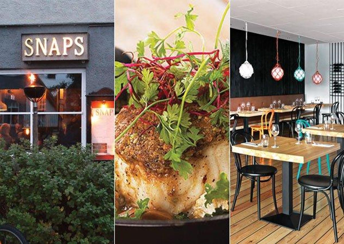 Our Four Fave Restaurants in Reykjavík