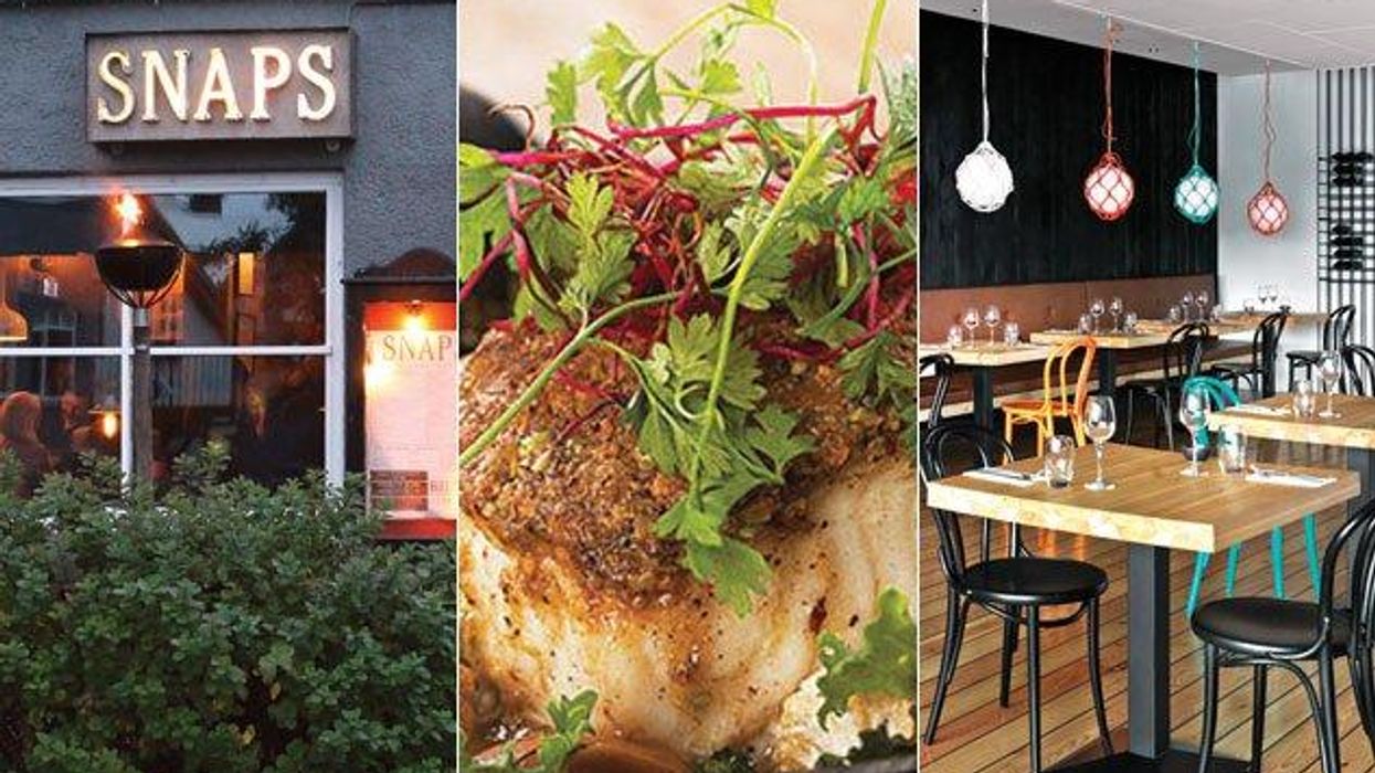 Our Four Fave Restaurants in Reykjavík