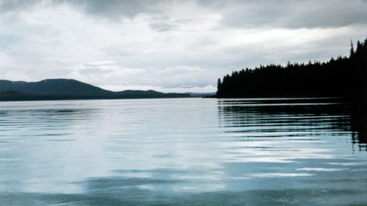 Spotlight on Alaska's Admiralty Island