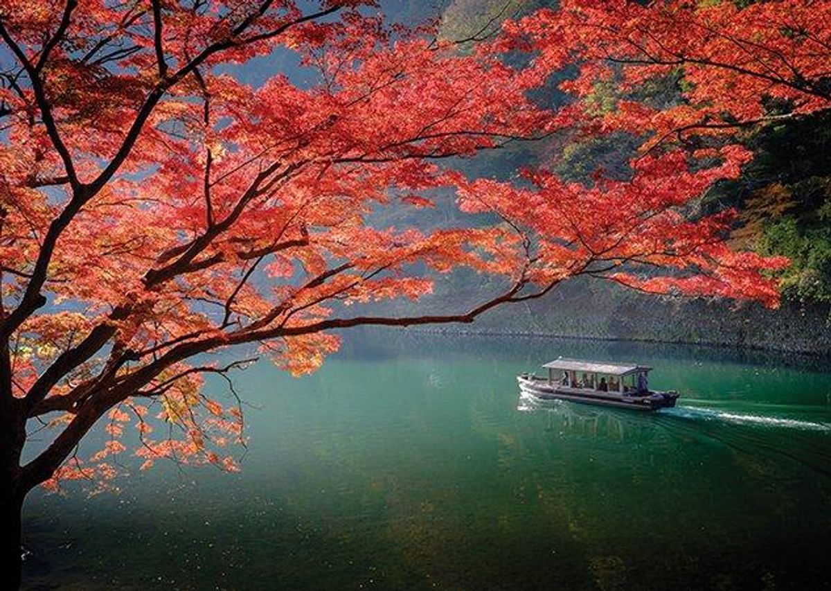 Discover Tokyo & Kyoto in November