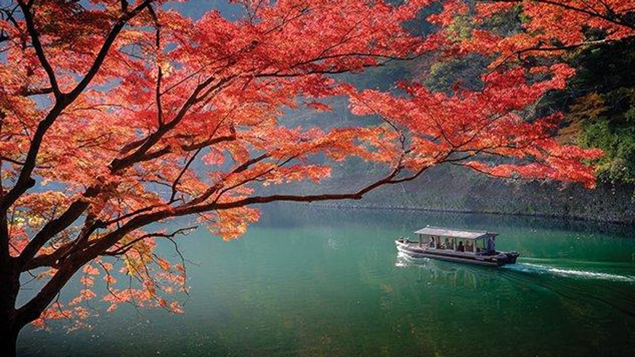 Discover Tokyo & Kyoto in November