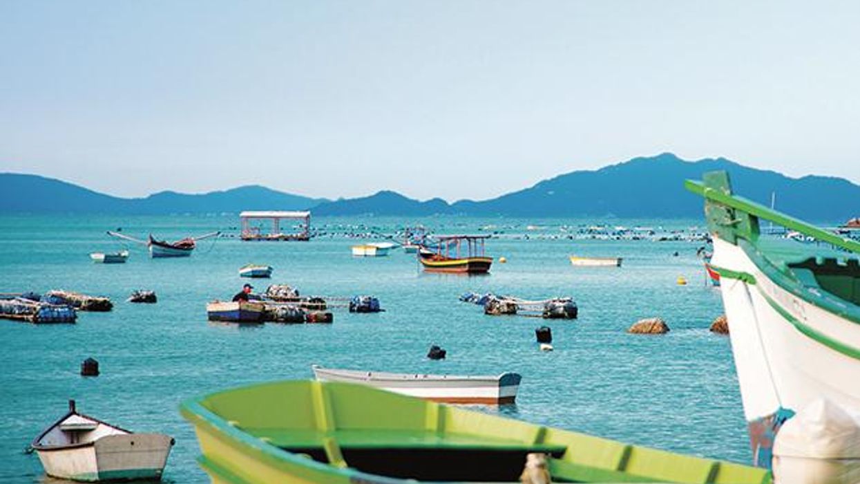 Spotlight on Santa Catarina, Brazil