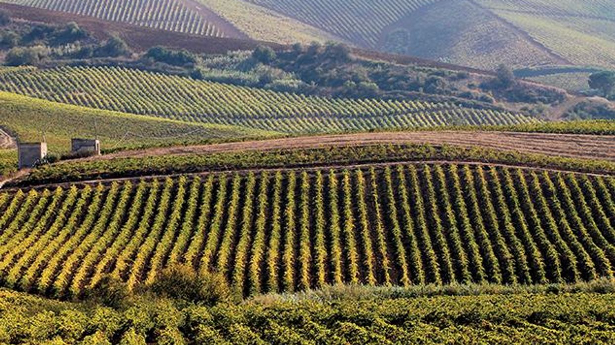 Spotlight on Sicily in September