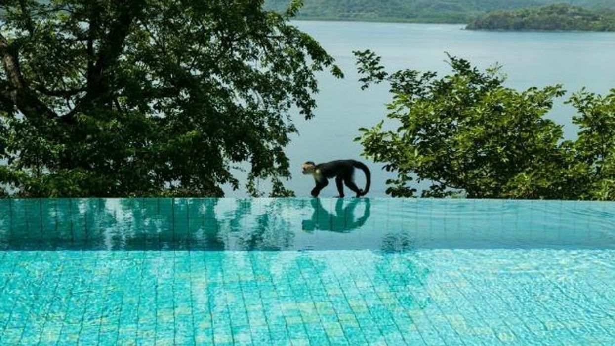 The best way to experience Costa Rica? With a good, old-fashioned camera.