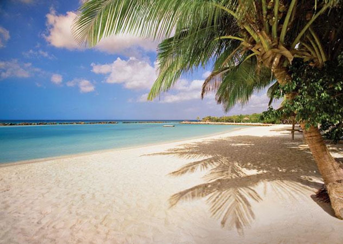 Honeymoon in Paradise: Aruba