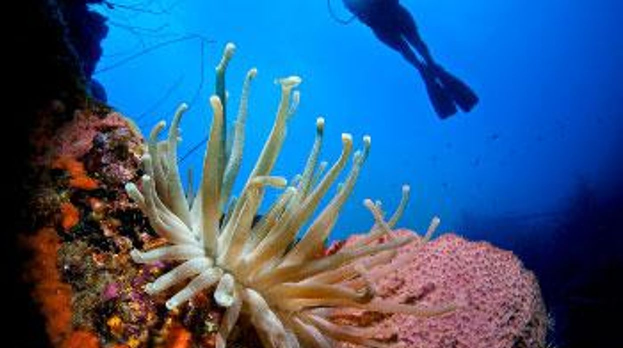 Honeymoon in Paradise: Curacao is Caribbean retreat that remains authentic to its past