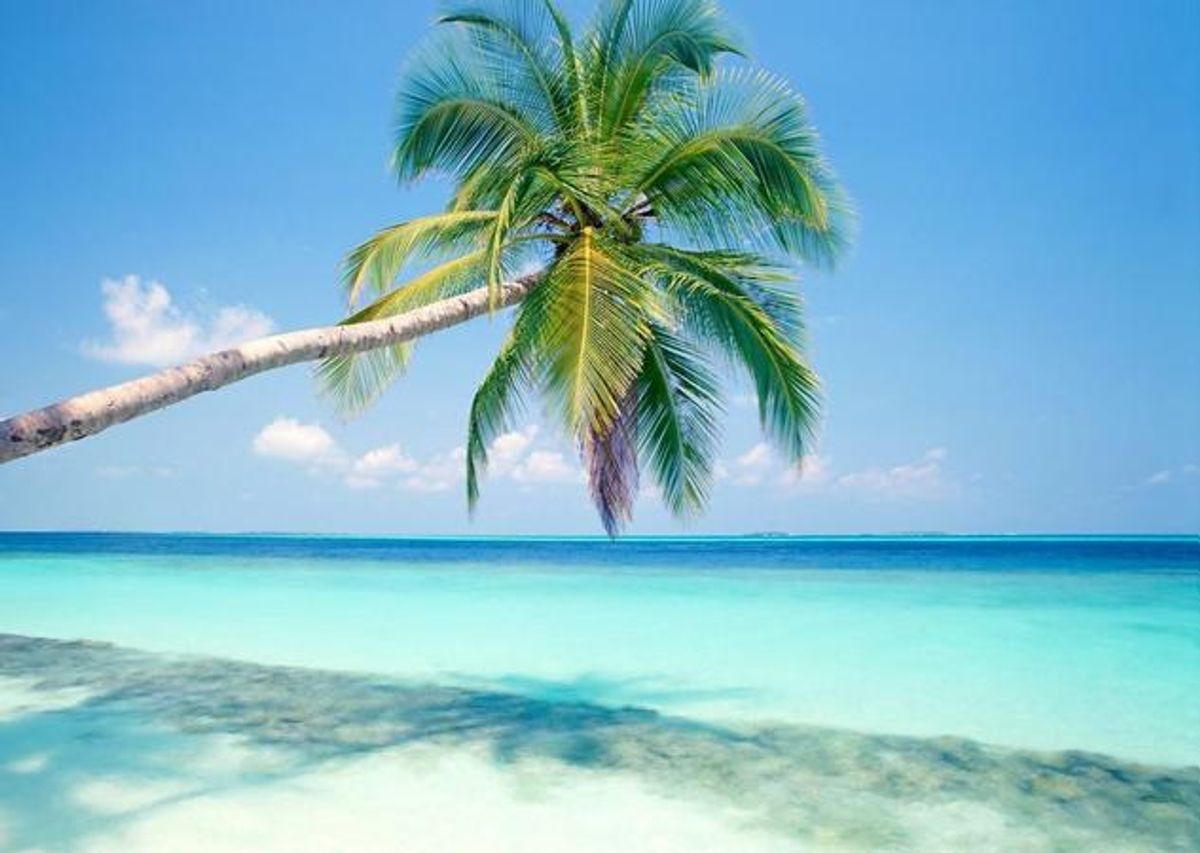 A Romantic Beach Getaway? We Recommend Riviera Maya