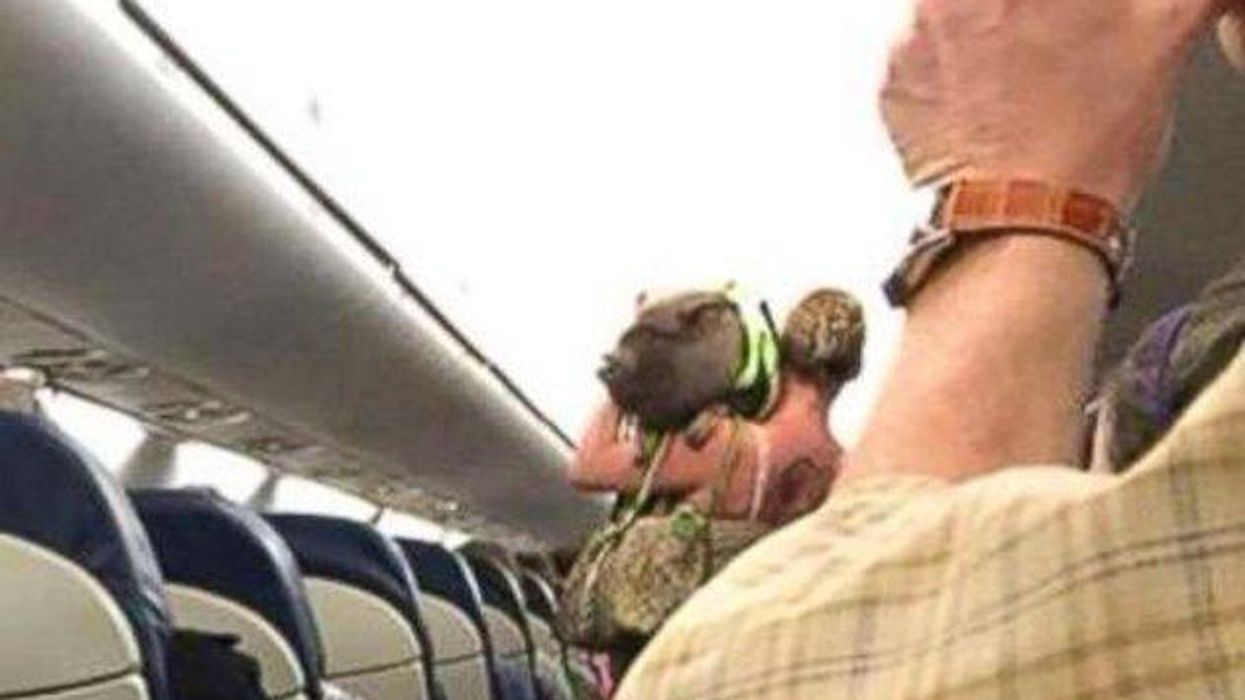 Woman, Pet Pig Kicked Off Flight
