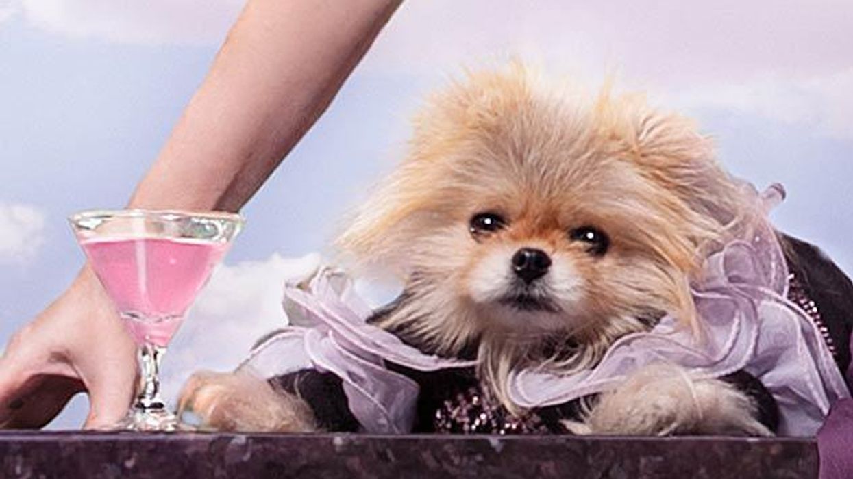 Get Ready for Giggy Night at WeHo's PUMP Bar