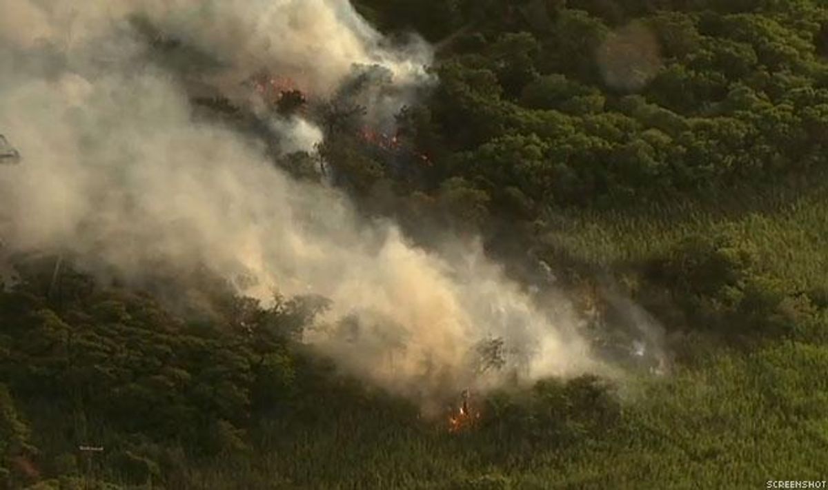 Cruising Catastrophe! Flames Break Out in Fire Island's Meat Rack