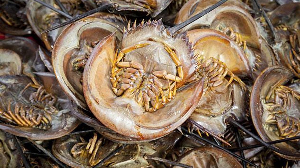 Salt Lake City: Where to Eat