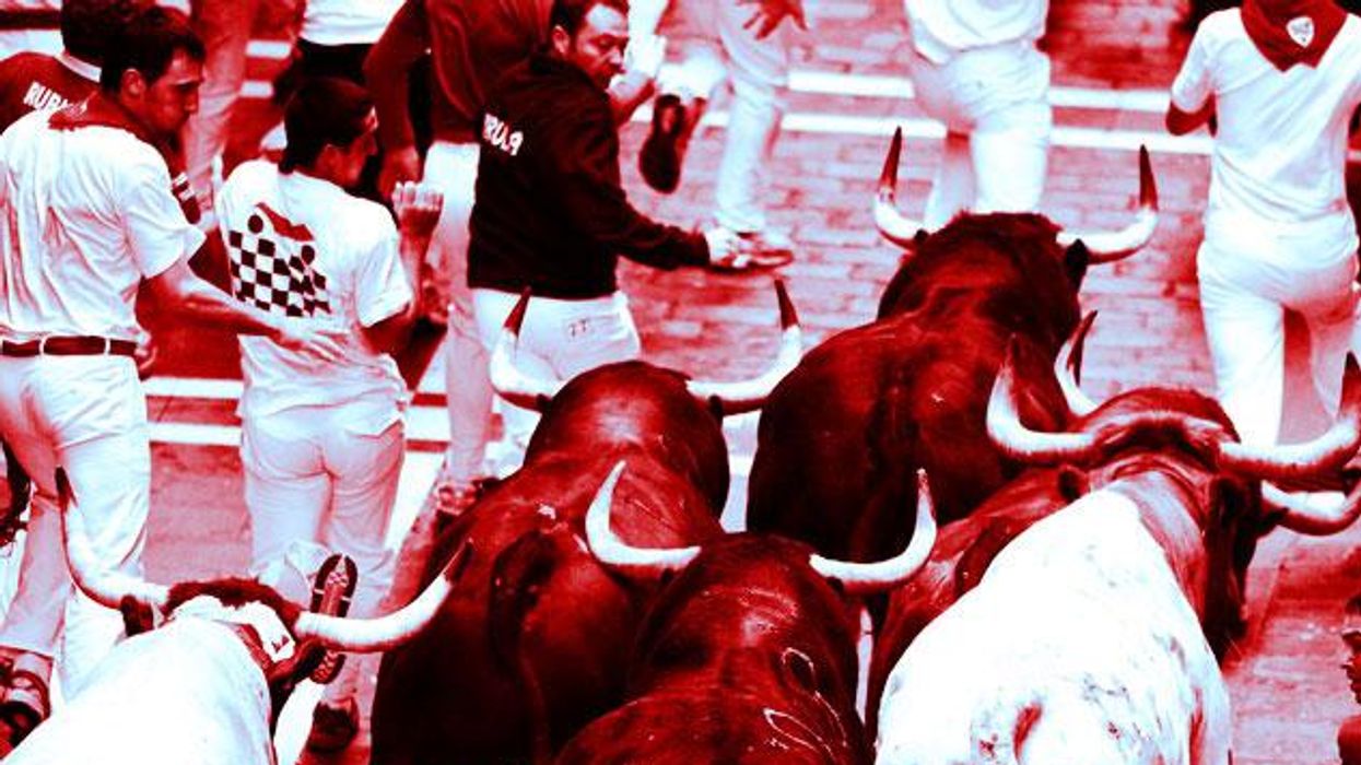 Running With the Bulls... in California