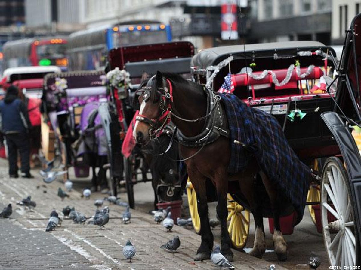 Will NYC Send Horses-Drawn Carriages to Glue Farm?