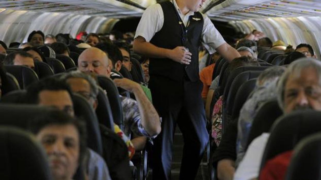 In-Flight Cellphone Conversations: Dream or Nightmare?