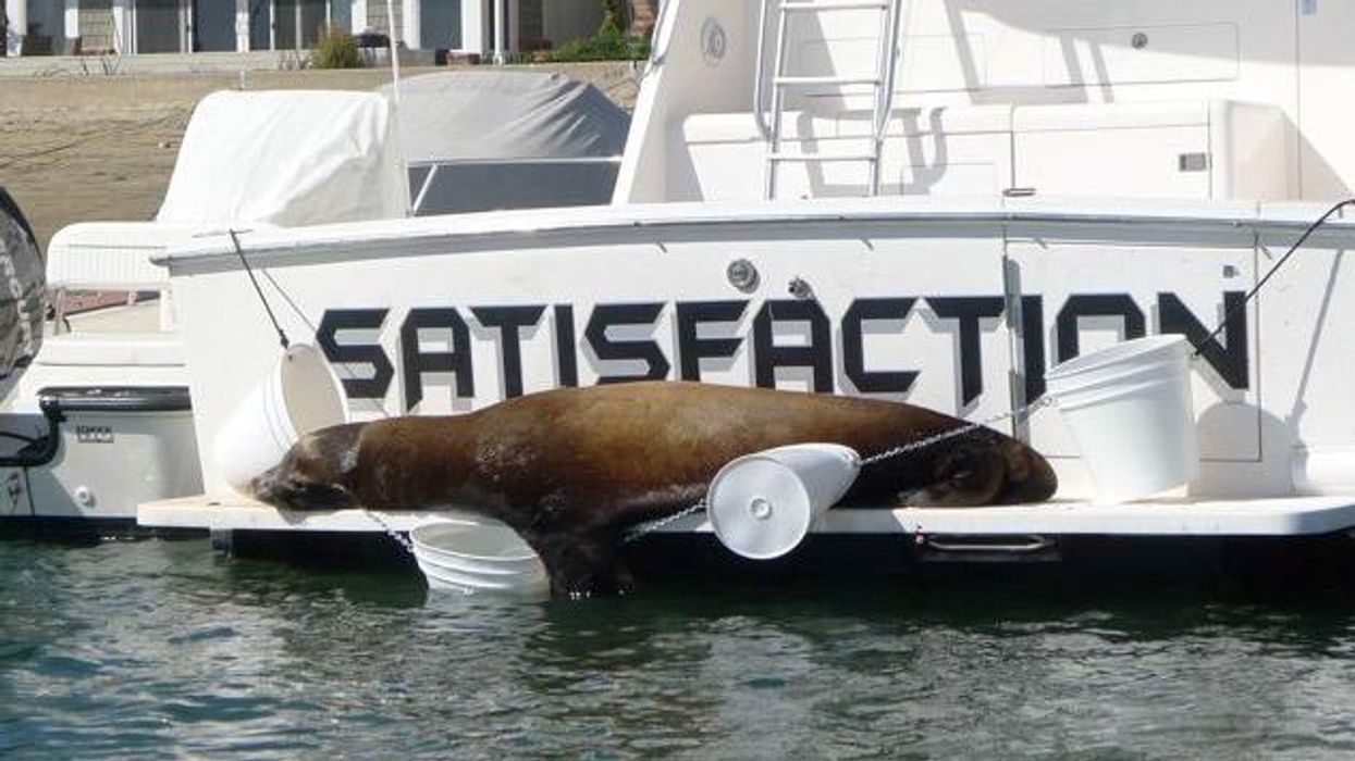 PHOTOS: Orange (County) is the New Black