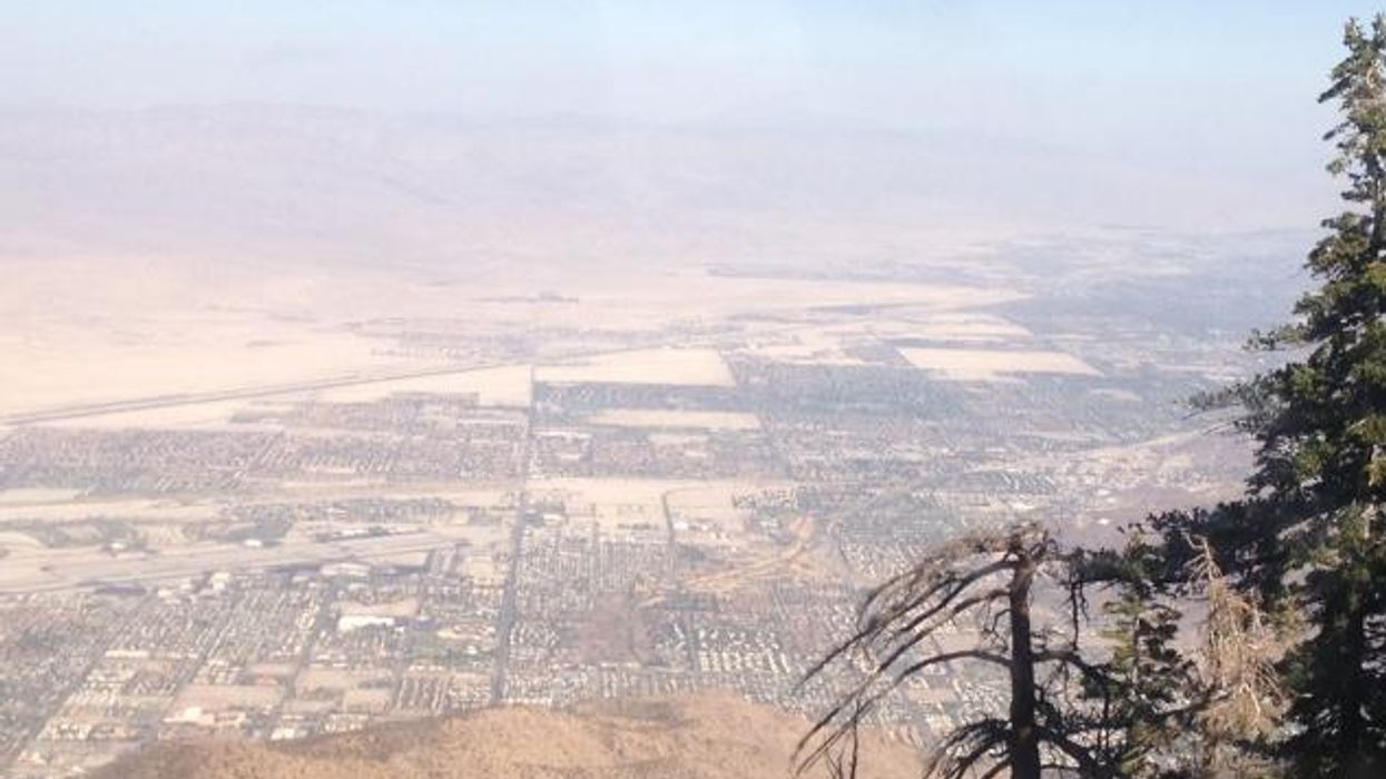 Seven Months in Palm Springs: All the Happenings in the Desert