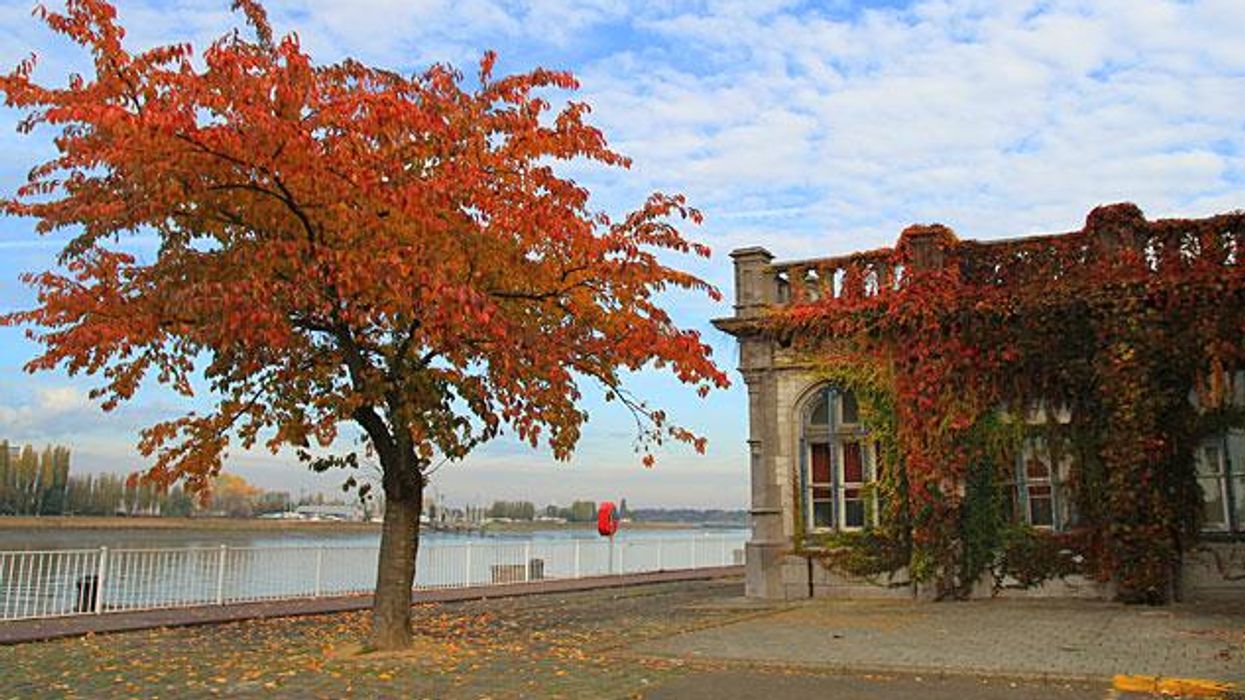 Fall Escapes: Antwerp's Architecture, Museums, and Cuisine Beckon