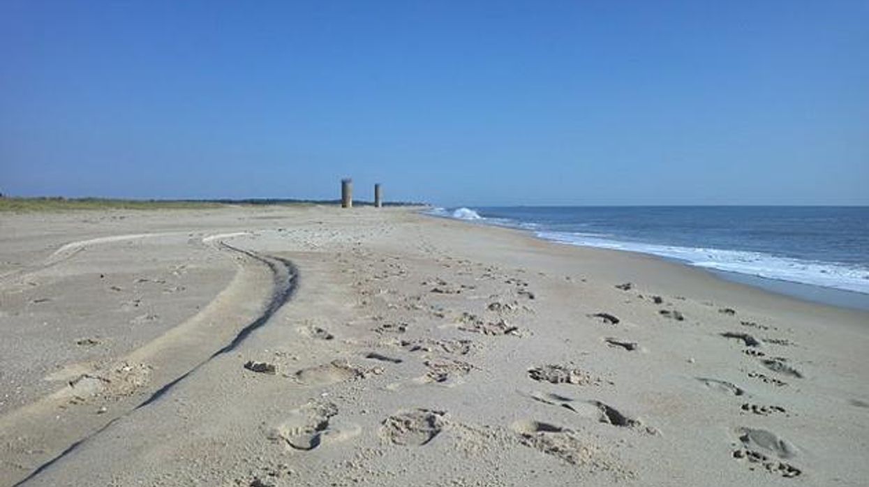 Get on the Bus! New Service from NYC to Rehoboth