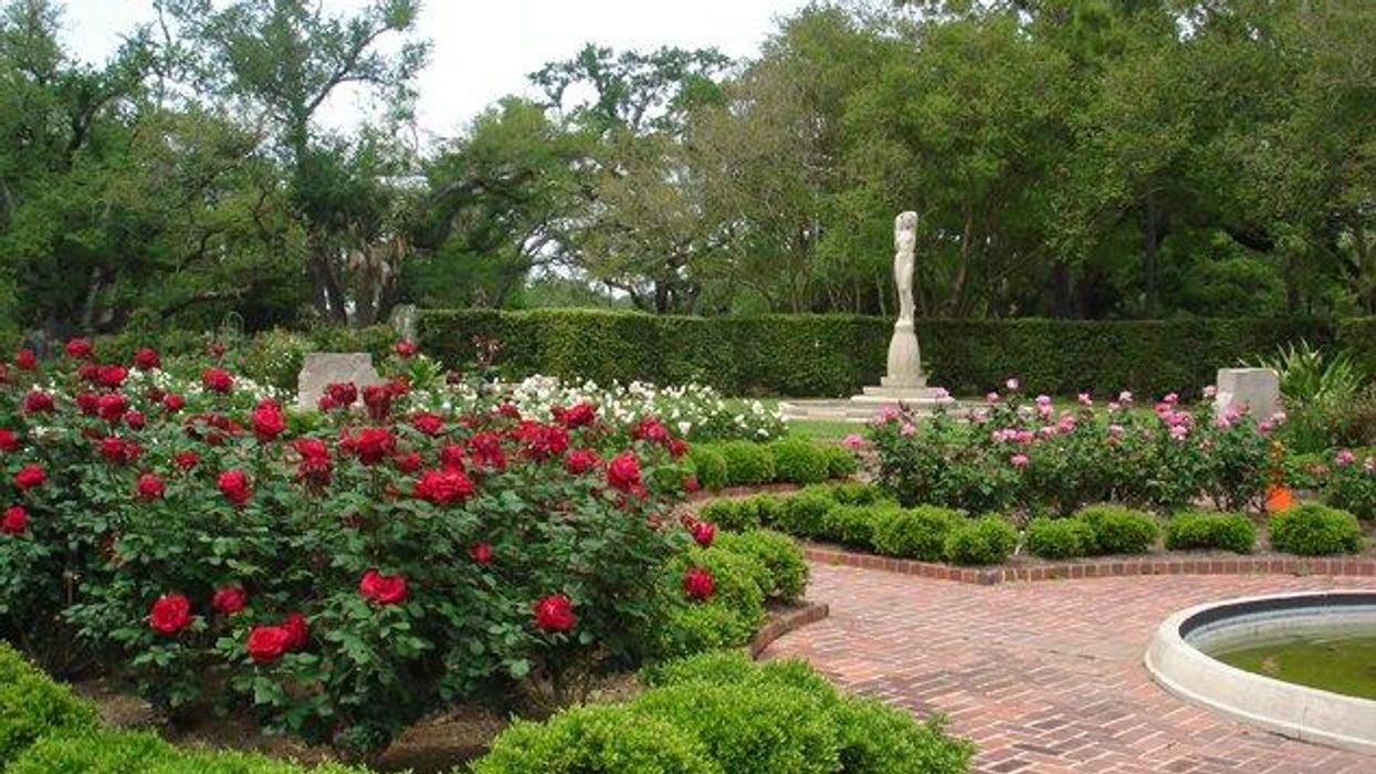 Enjoying New Orleans from Fancy to Frugal