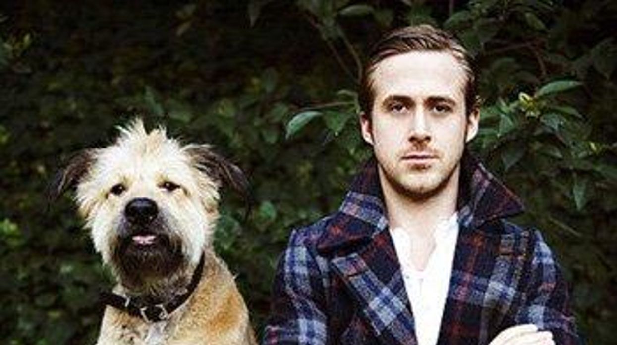 New Bill Would Let Ryan Gosling Bring His Dog on Amtrak