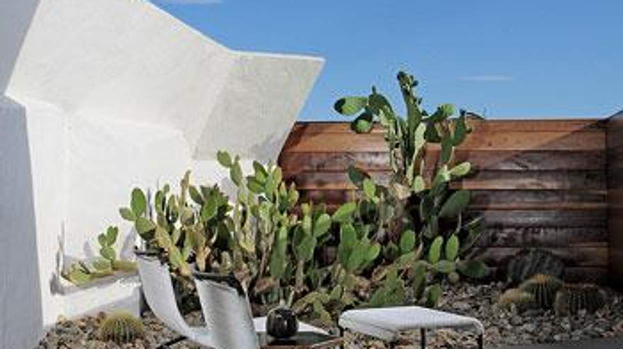 See the Desert from a Different Angle