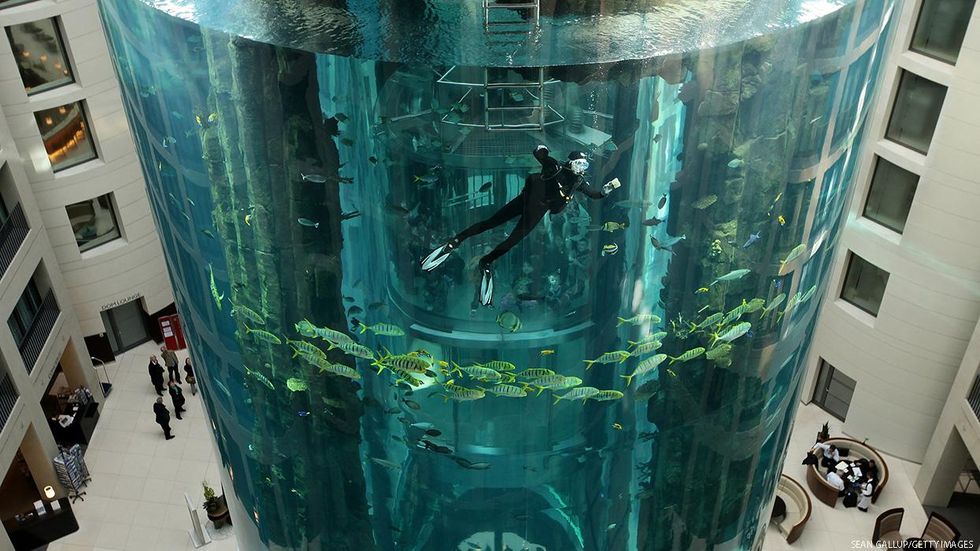 Giant Aquarium Bursts in Berlin Injuring 2 People
