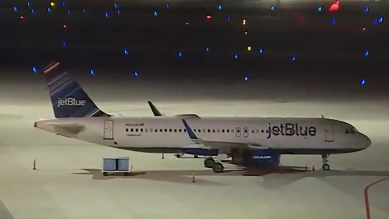 Bird Strike Grounds Plane on 14th Anniversary of ‘Miracle on the Hudson’