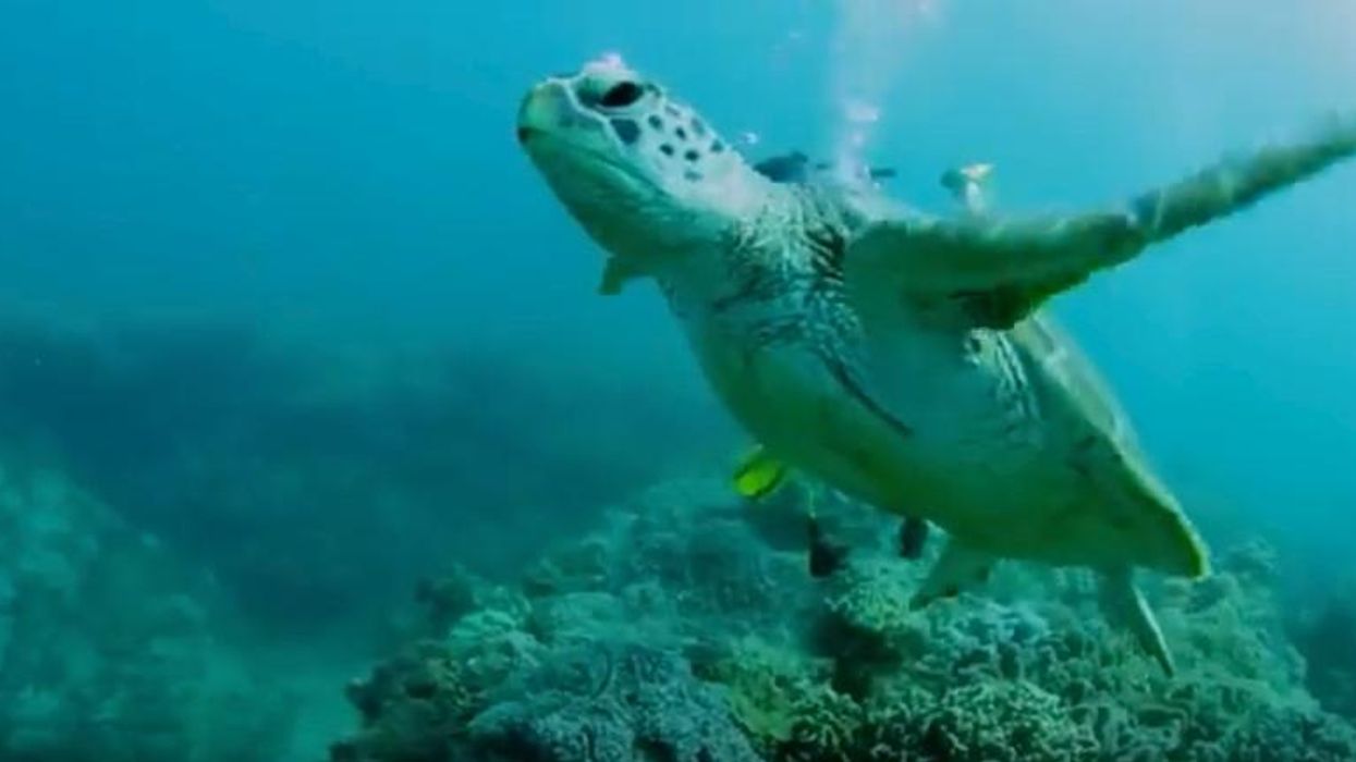 Islands of Australia