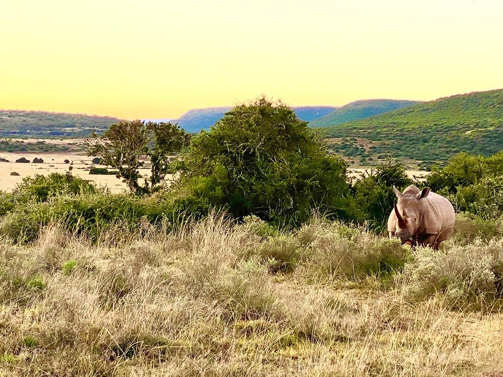 Joey Amato\u2019s Gay Guide to South Africa