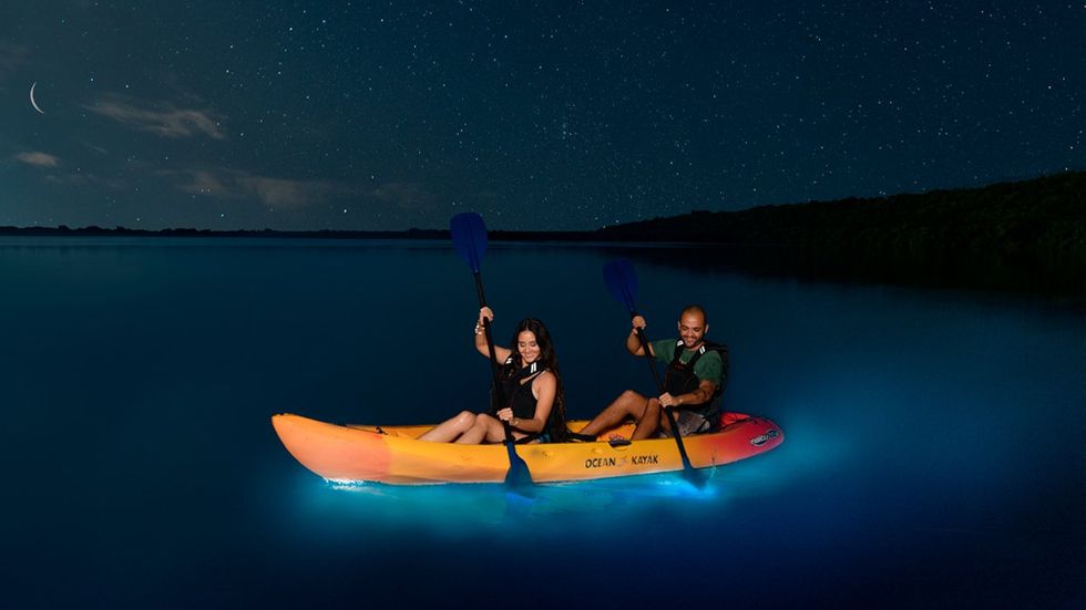 kayakers in Puerto Rico's bioluminescent bay at night
