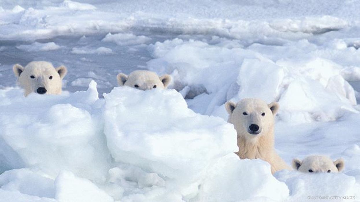 Last Chance Travel: Seeing the World While You Can