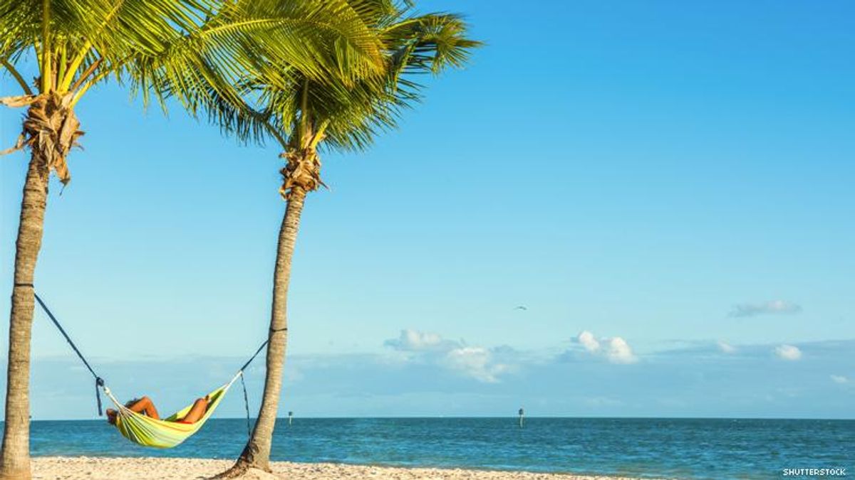 Man in hammock hung between two palm trees on Key West beach