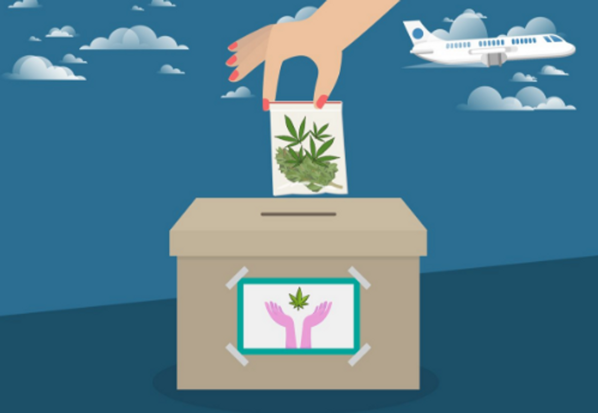 marijuana boxes amnesty