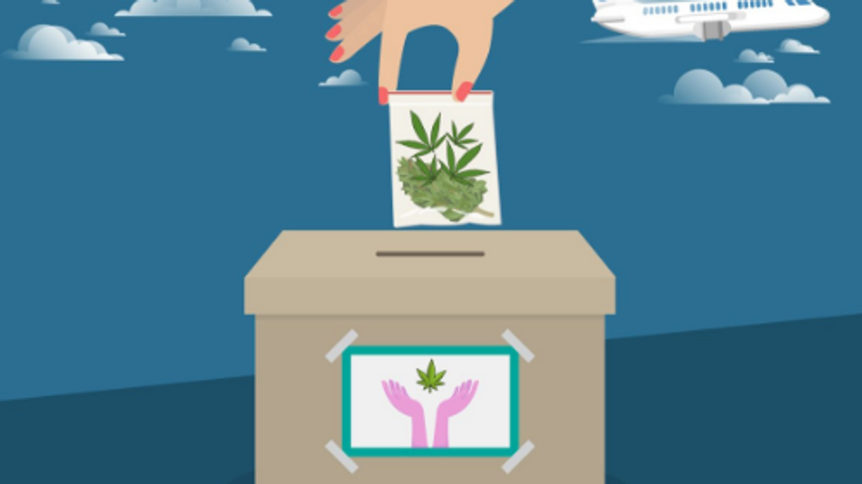 marijuana boxes amnesty