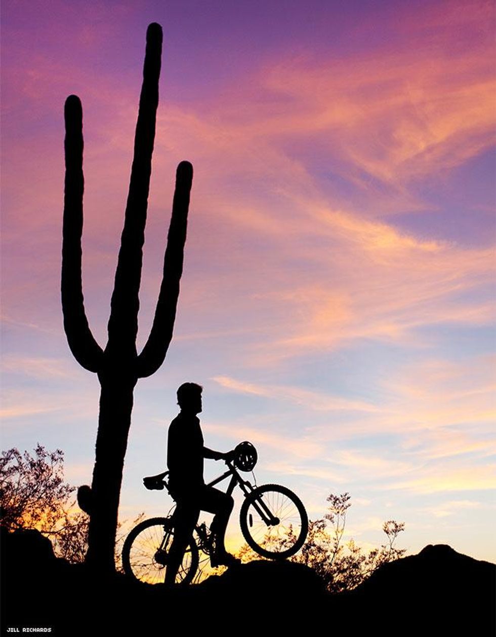 mountain biker at sunset next to cactus