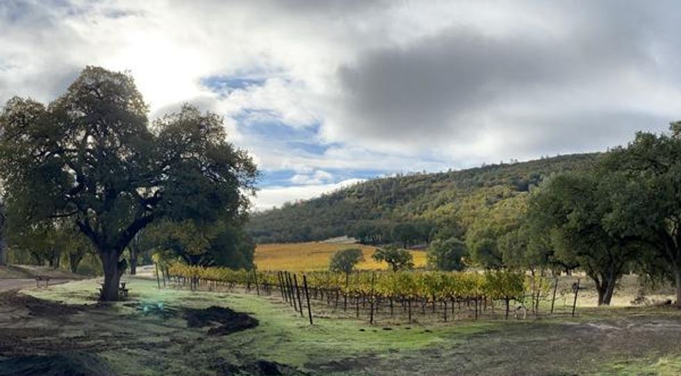 Napa Valley wineries