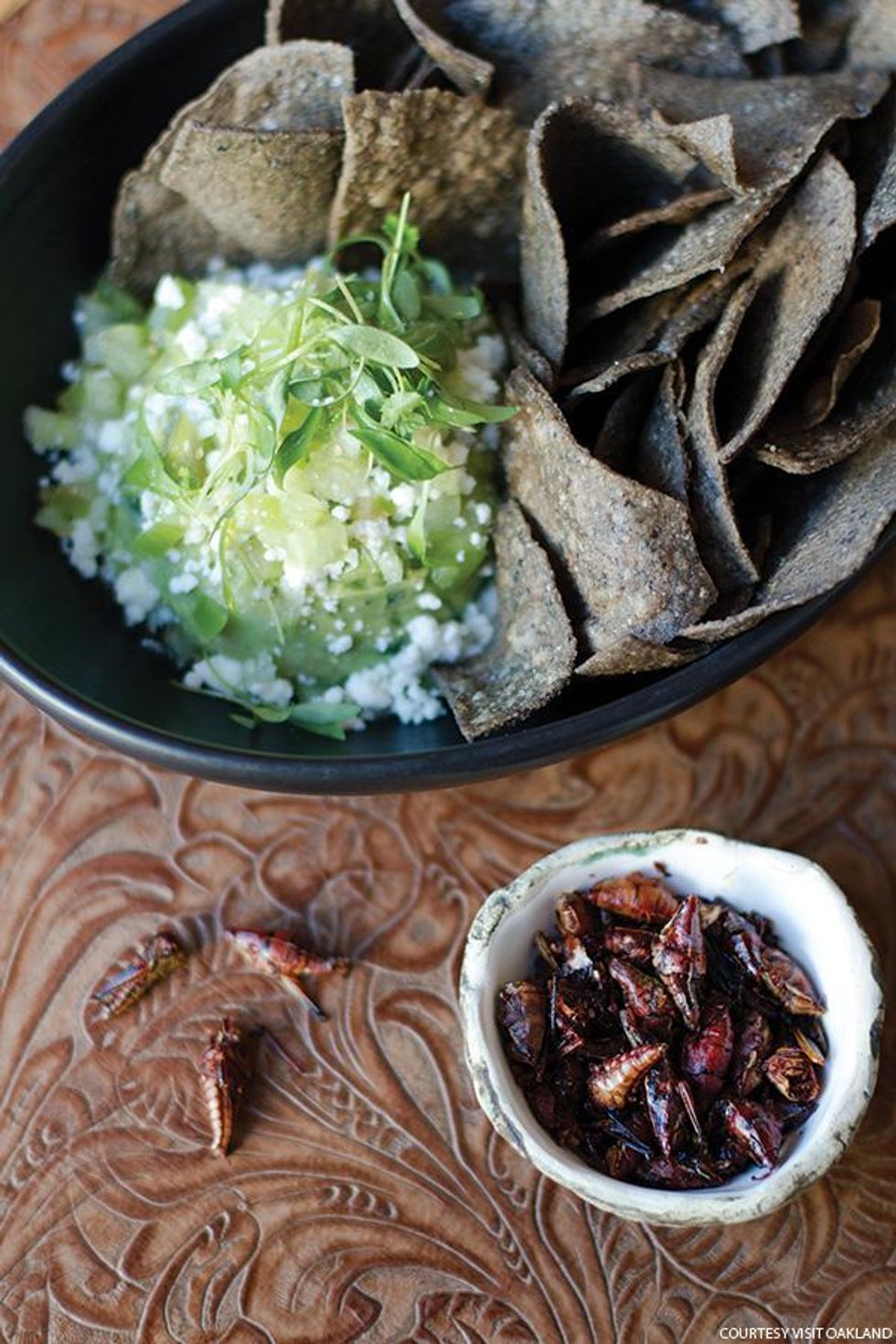 Oakland is Perfect for Food, Family, and Fun