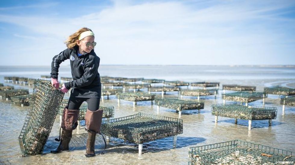Ocean Edge Oyster tour