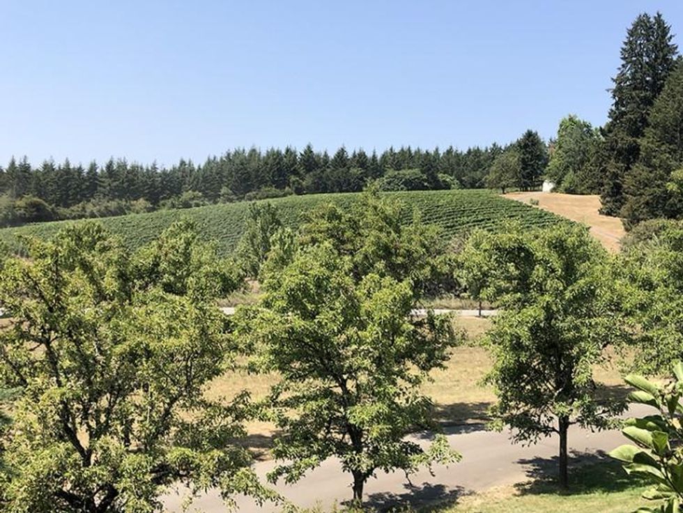 Oregon\u2019s Willamette Valley wine country is a laid-back alternative to the more established wine regions in California.