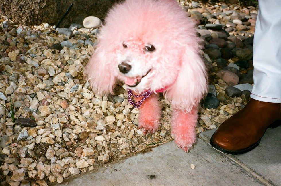 Palm Springs Pride 2017