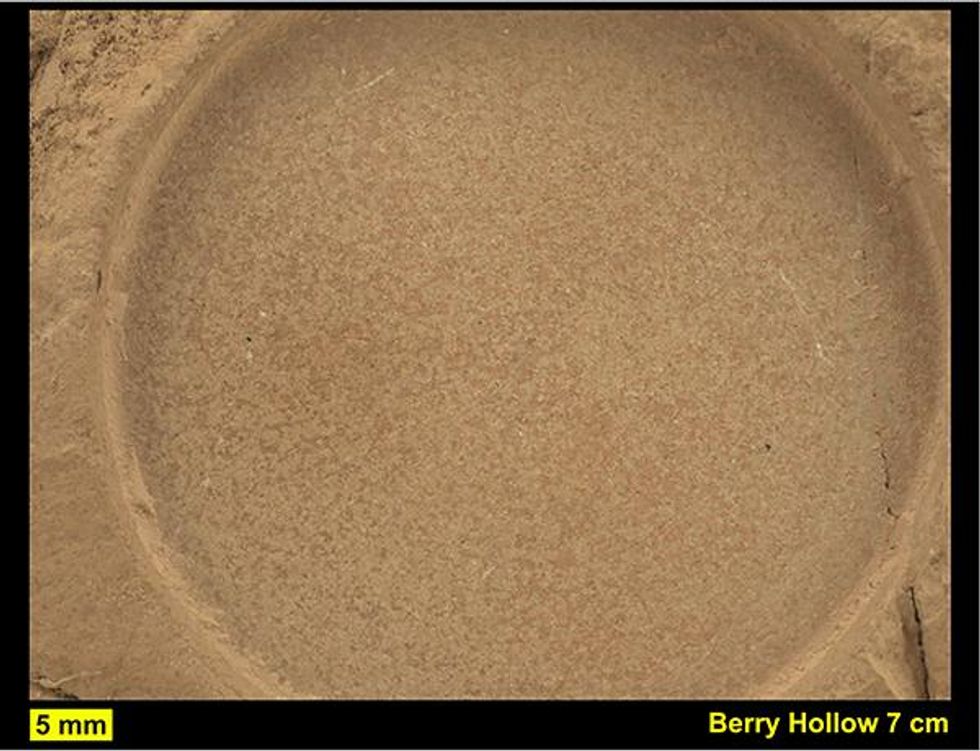 Perseverance Rover Finds Organic Matter \u2018Treasure\u2019 On Mars