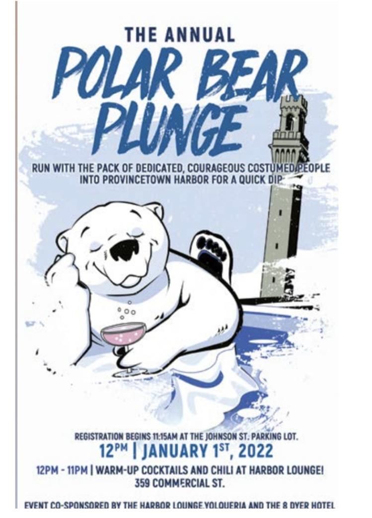 Polar Bear Plunge