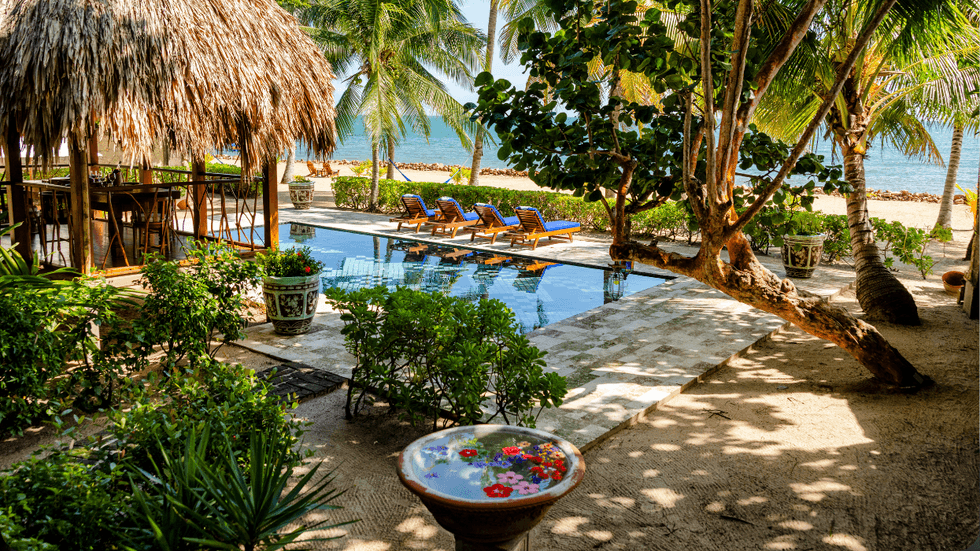 Poolside view at Turtle Inn with palm trees, lounge chairs, a thatched cabana, and the Caribbean Sea beyond.