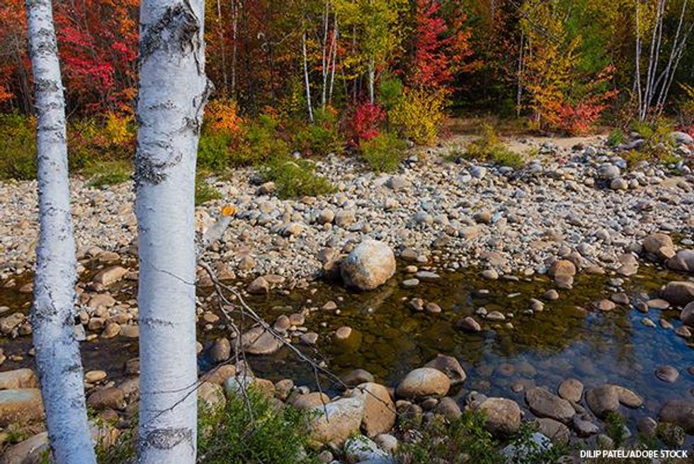 Rangeley Lakes Scenic Byway