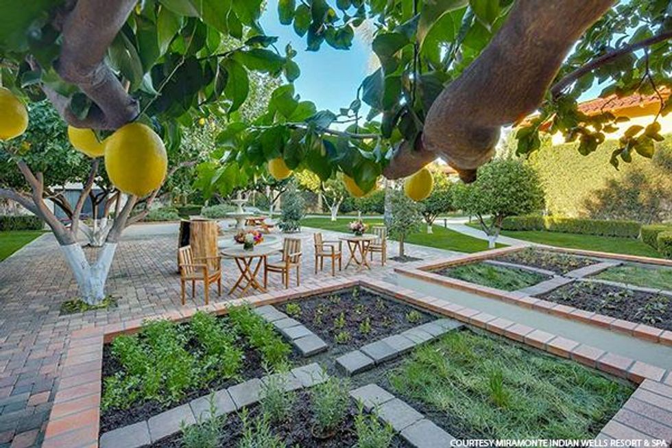 Romantic Fall Getaway Awaits at the Miramonte Resort & Spa