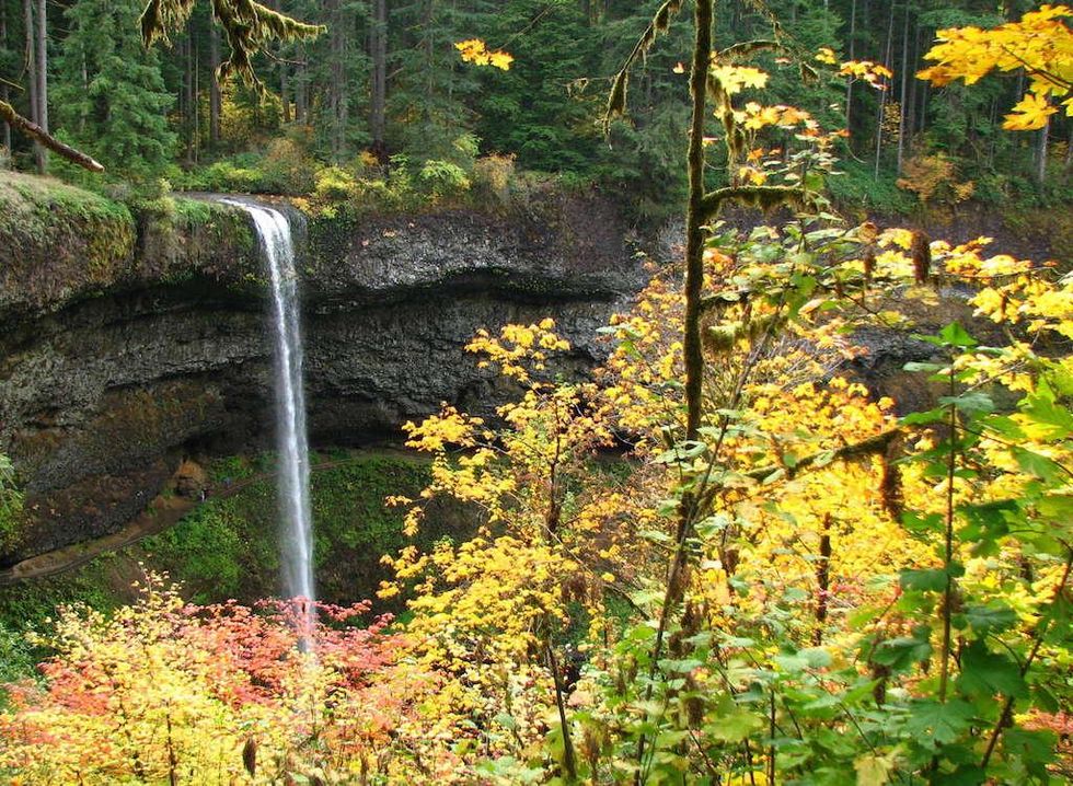 Silver Falls Campground - Oregon